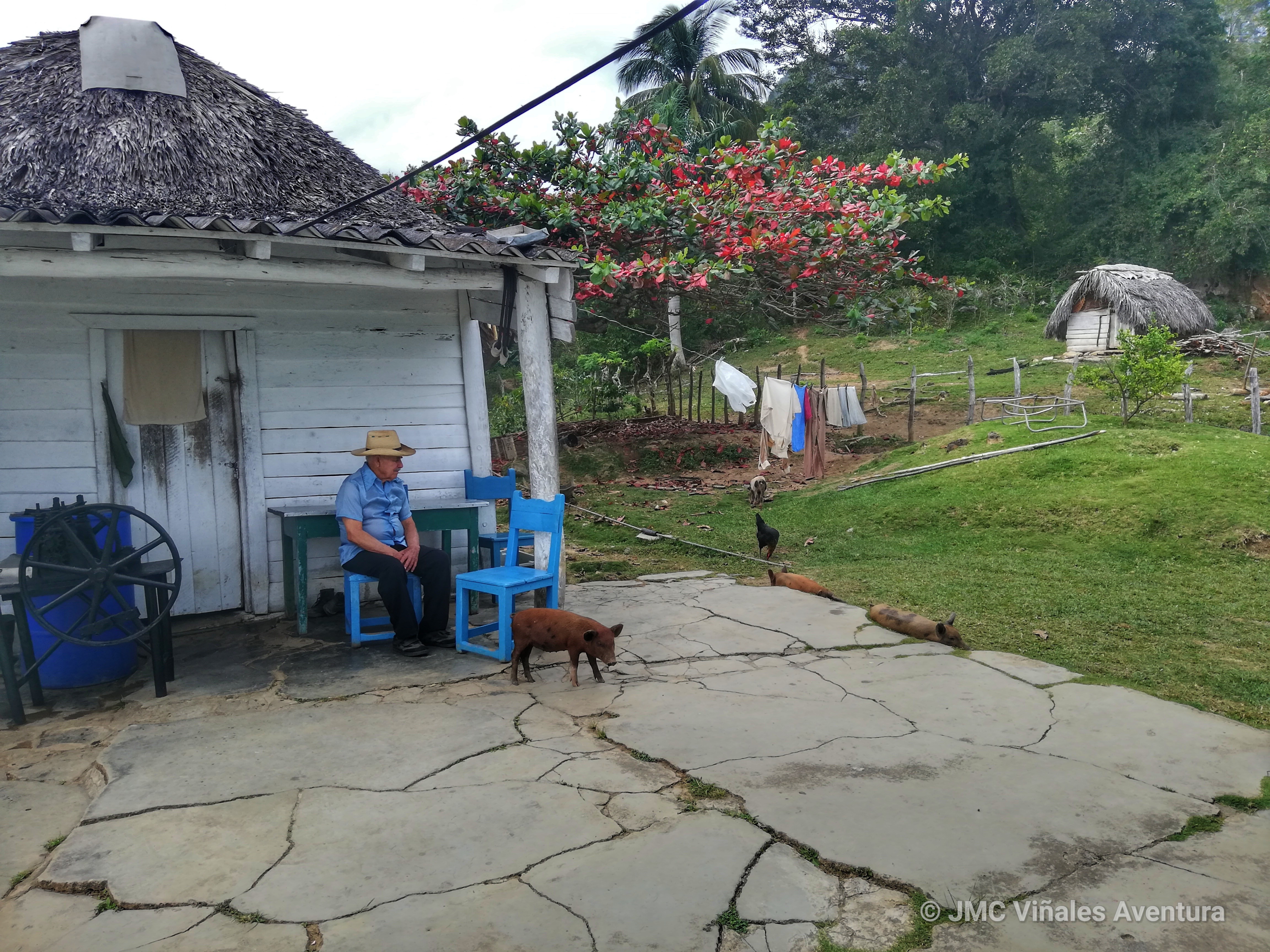 Viñales 14-JMC-Vinales-aventura