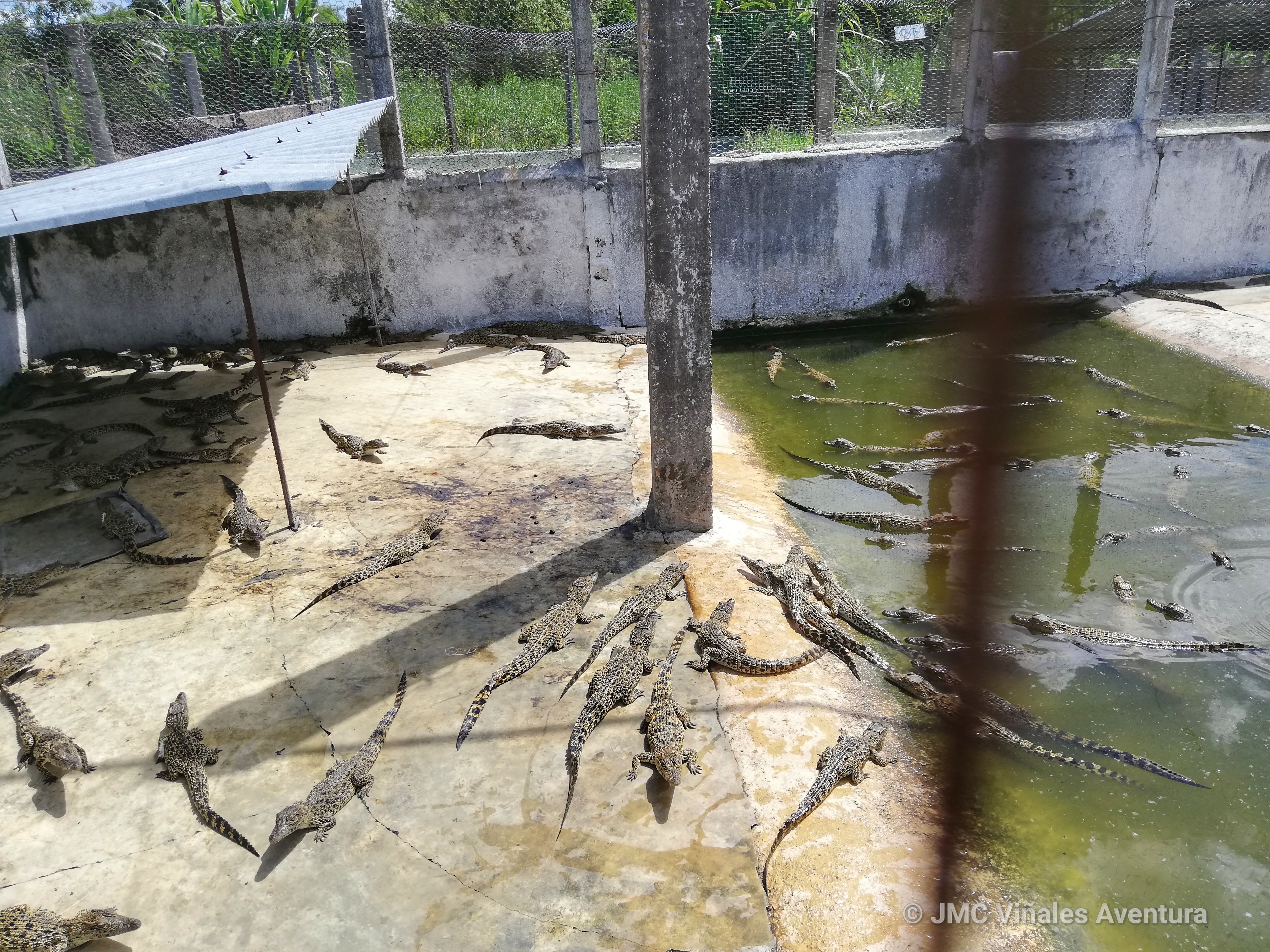 Playa Larga 21 - JMC-Vinales-aventura