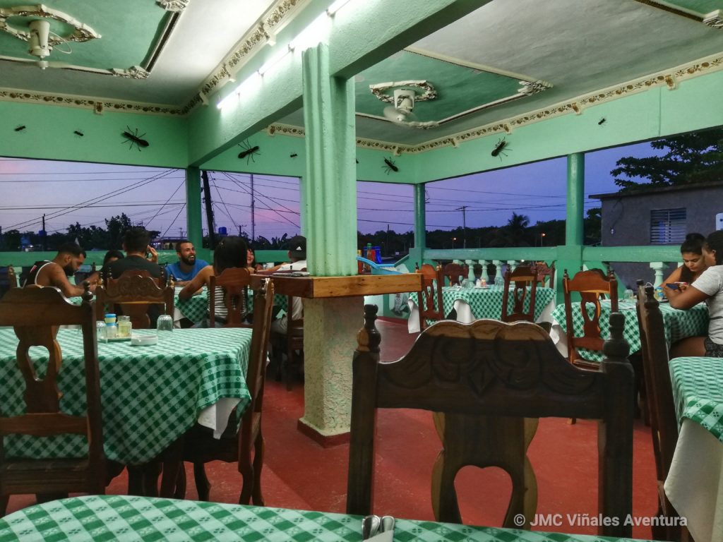 Playa Larga 31 - JMC-Vinales-aventura