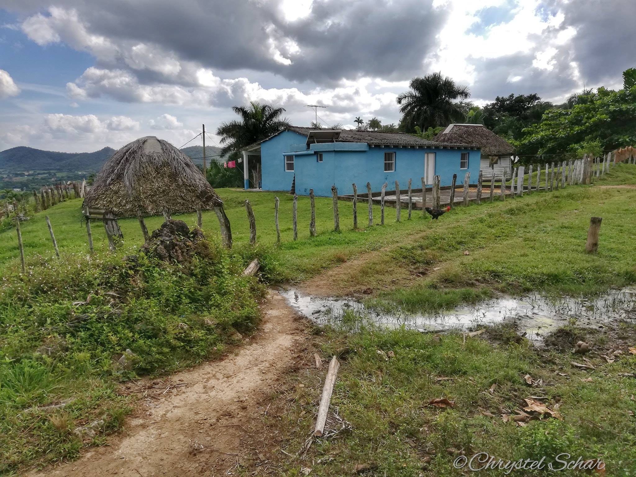 Los Aquaticos maison bleue