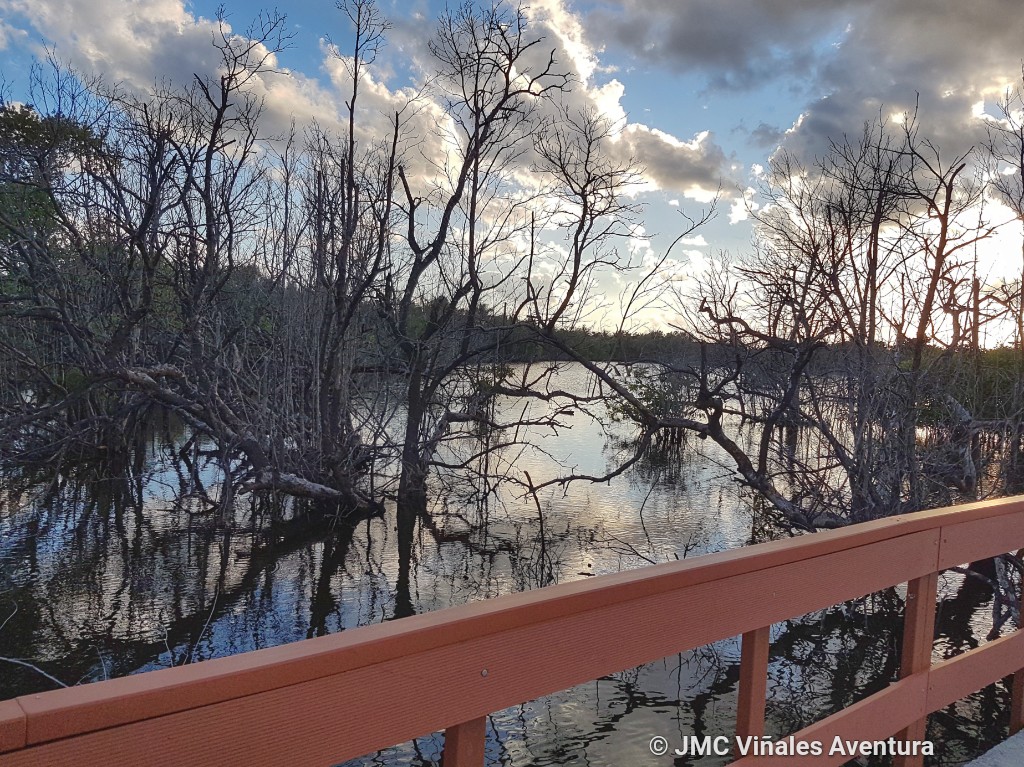 Guardalavaca 6 - JMC-Vinales-aventura