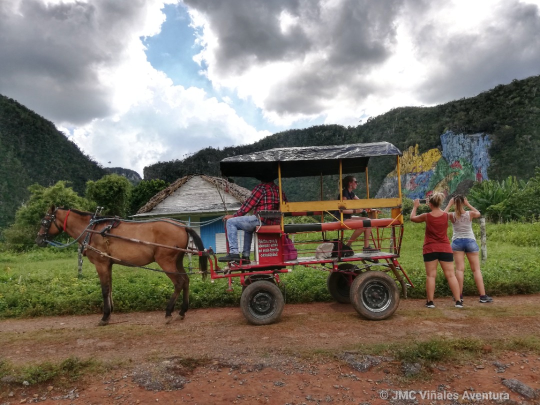 JMC-Vinales-aventura-Excursion-calèche-3