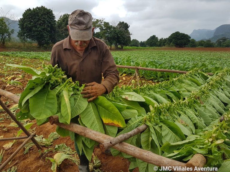 JMC Viñales aventura - Excursion depuis la Havane 4H
