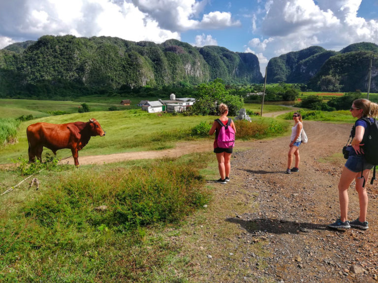 JMC Viñales aventura - Excursion-rando--5H